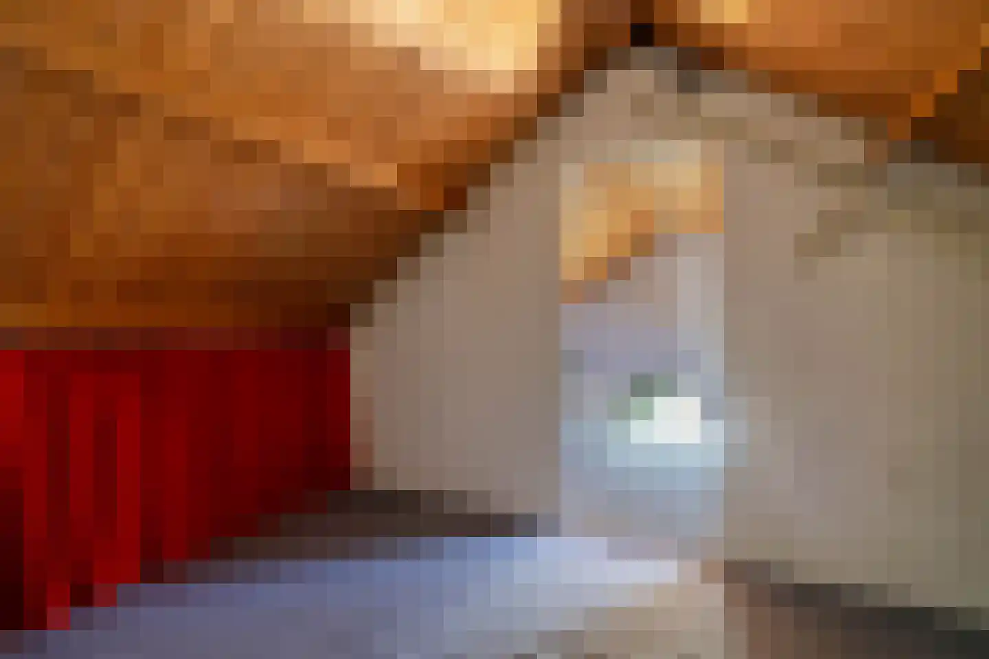 Foareker 43 Ureterp thumbnail 36