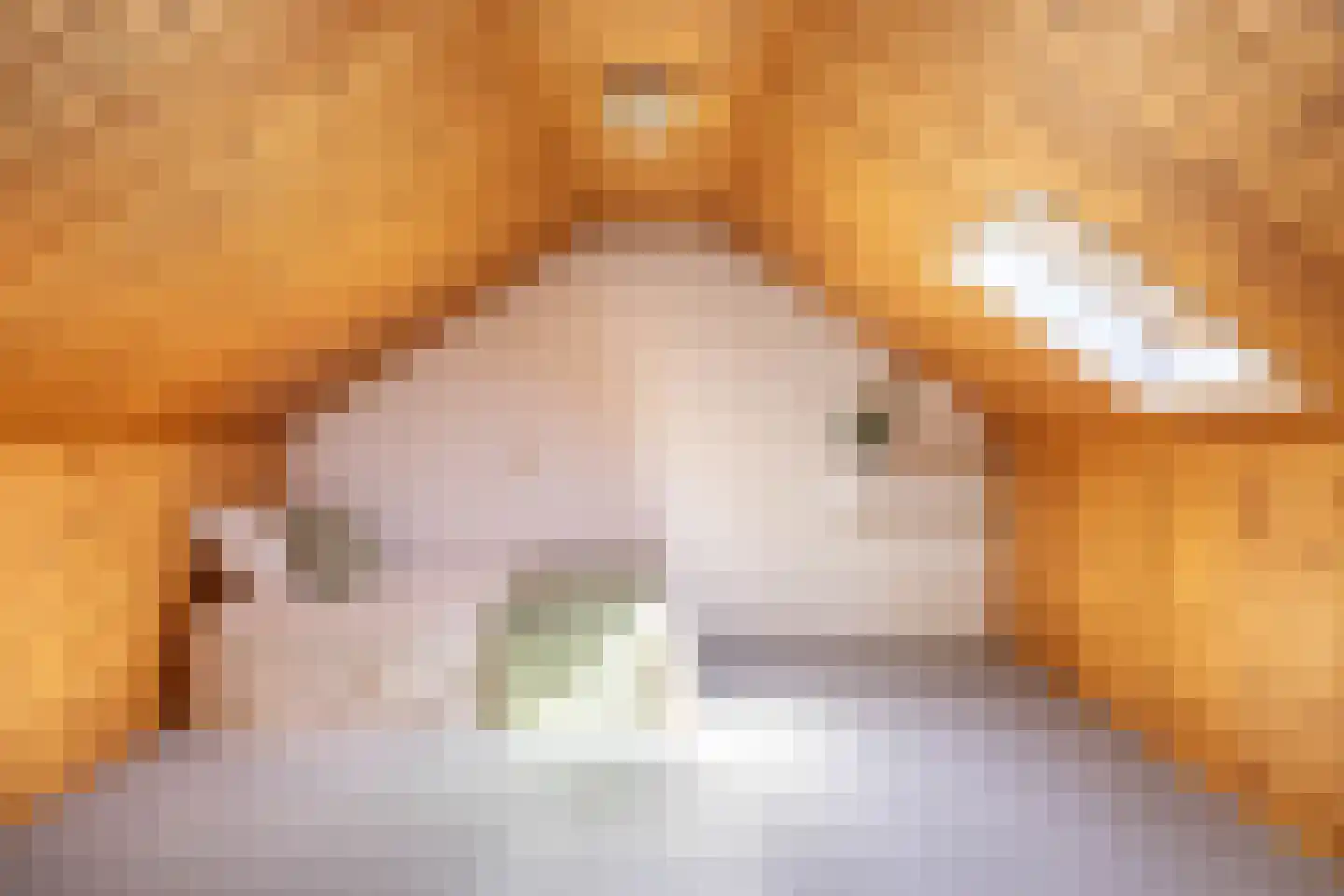 Foareker 43 Ureterp thumbnail 37