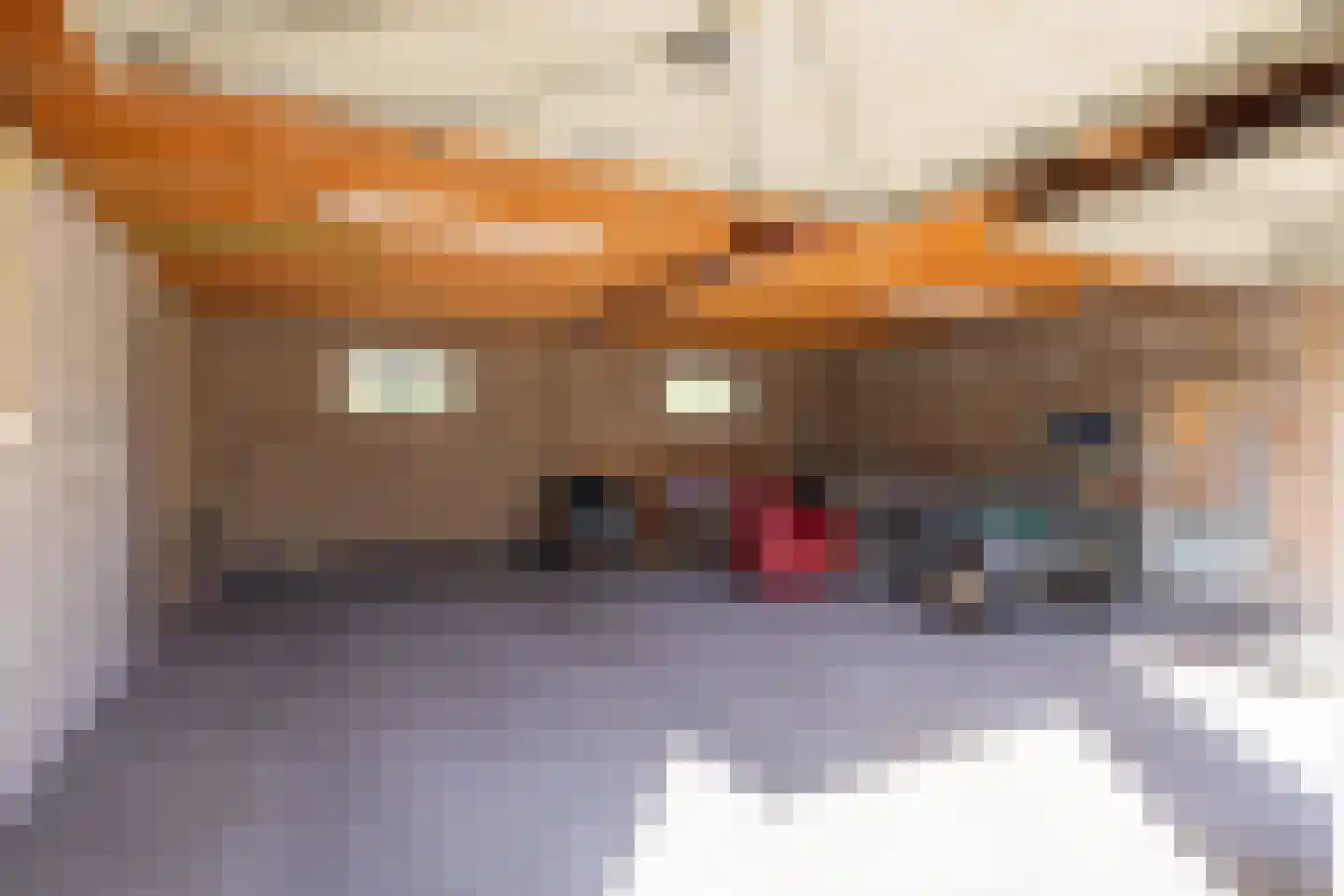 Foareker 43 Ureterp thumbnail 42