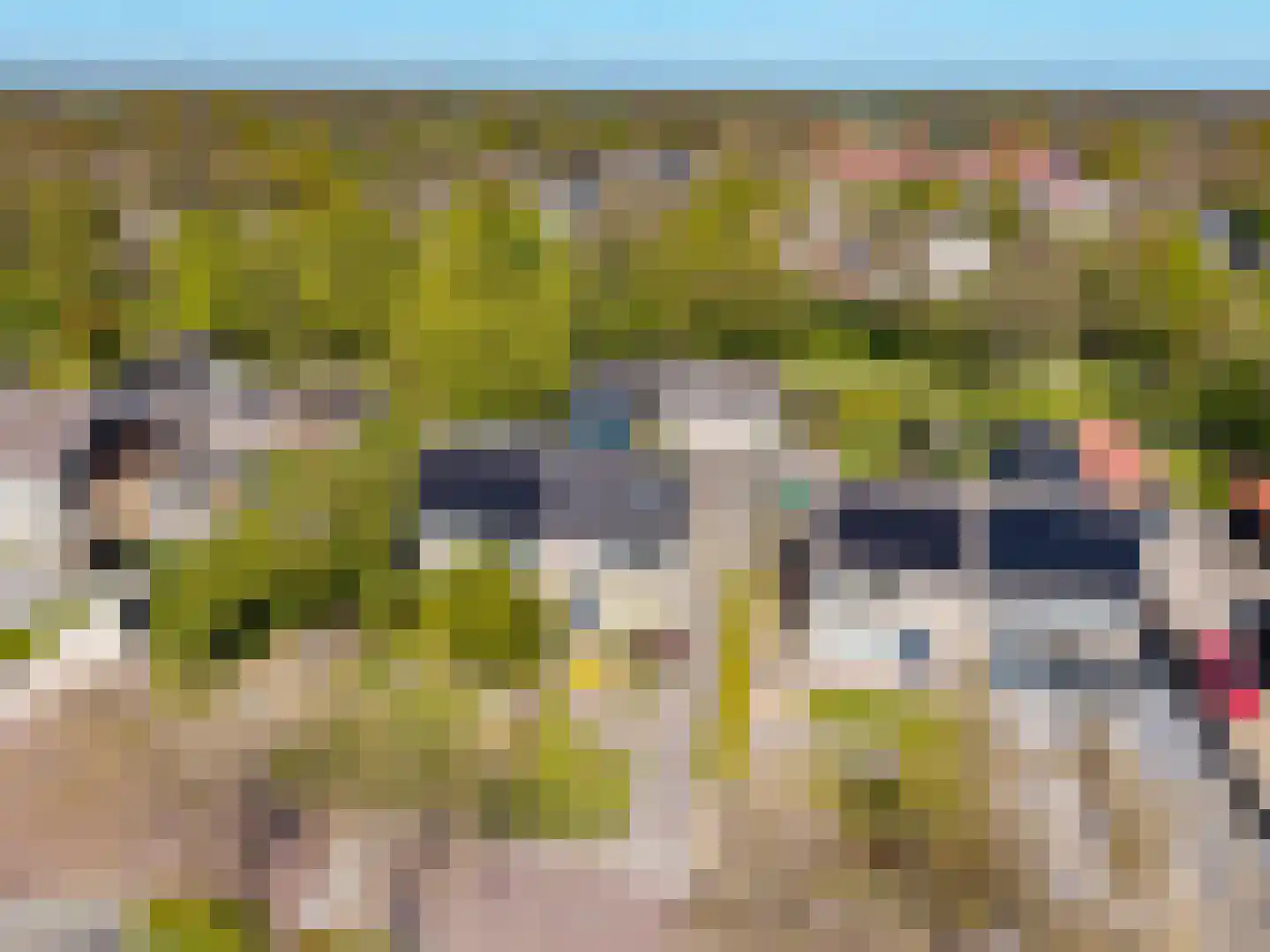Foareker 43 Ureterp thumbnail 6