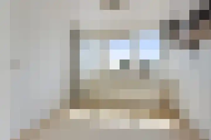 Foareker 62 Ureterp thumbnail 15