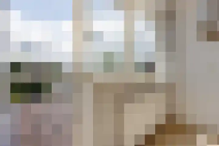 Foareker 62 Ureterp thumbnail 16