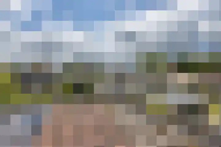 Foareker 62 Ureterp thumbnail 17