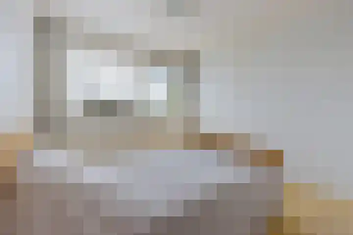 Foareker 62 Ureterp thumbnail 19