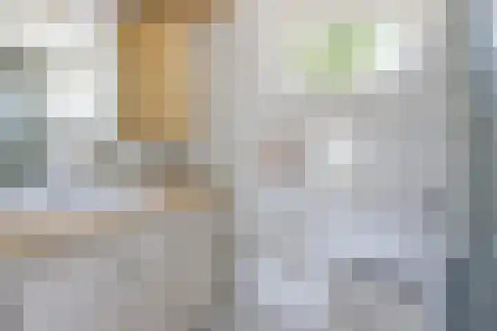 Foareker 62 Ureterp thumbnail 21