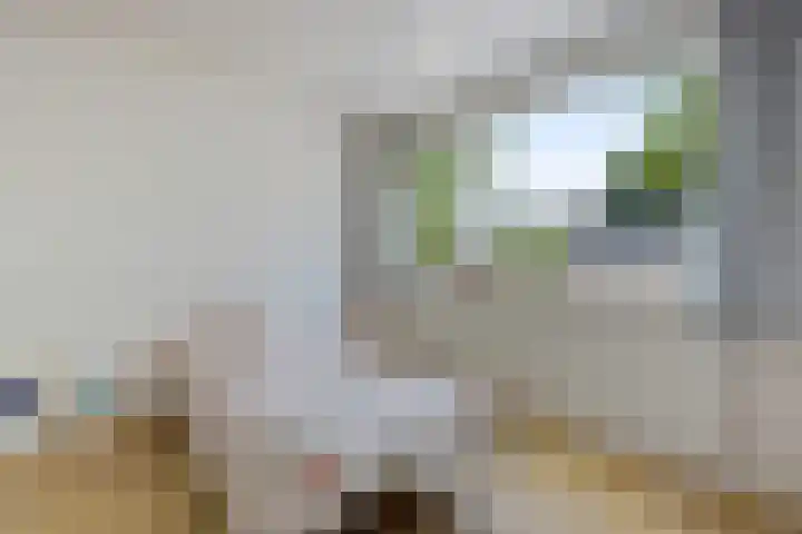 Foareker 62 Ureterp thumbnail 23