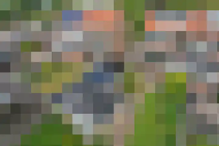 Foareker 62 Ureterp thumbnail 31