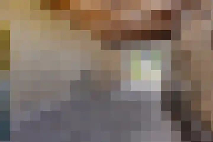 Foareker 62 Ureterp thumbnail 33