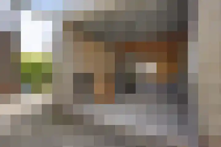 Foareker 62 Ureterp thumbnail 34