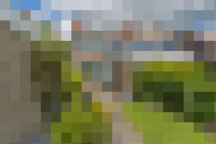 Foareker 62 Ureterp thumbnail 36