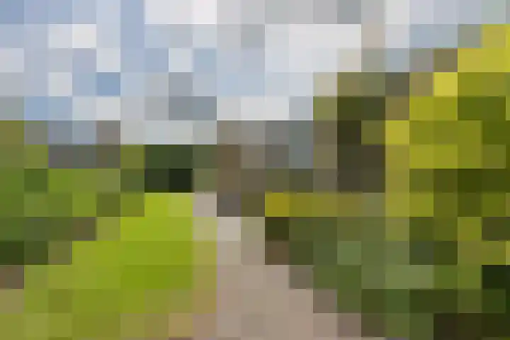 Foareker 62 Ureterp thumbnail 37