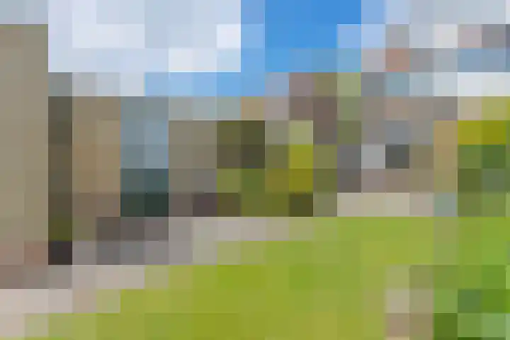 Foareker 62 Ureterp thumbnail 38