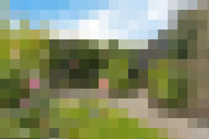 Foareker 62 Ureterp thumbnail 39