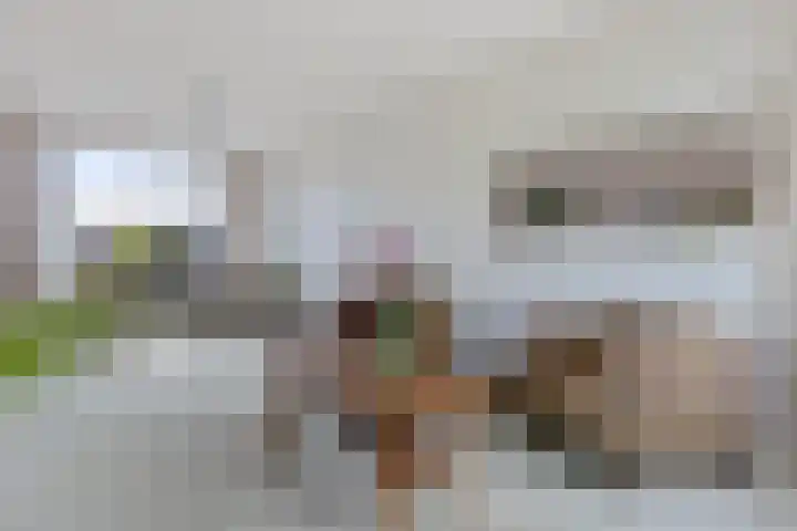 Foareker 62 Ureterp thumbnail 4