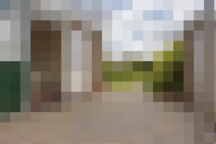 Foareker 62 Ureterp thumbnail 41