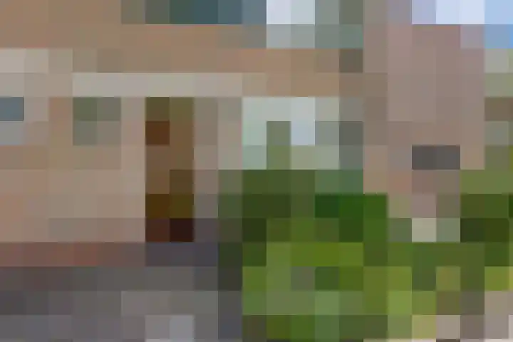 Foareker 62 Ureterp thumbnail 43
