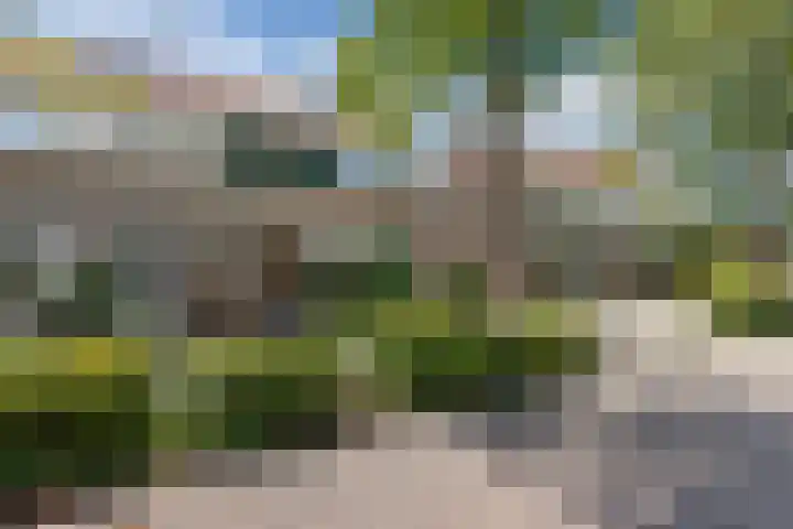 Foareker 62 Ureterp thumbnail 44