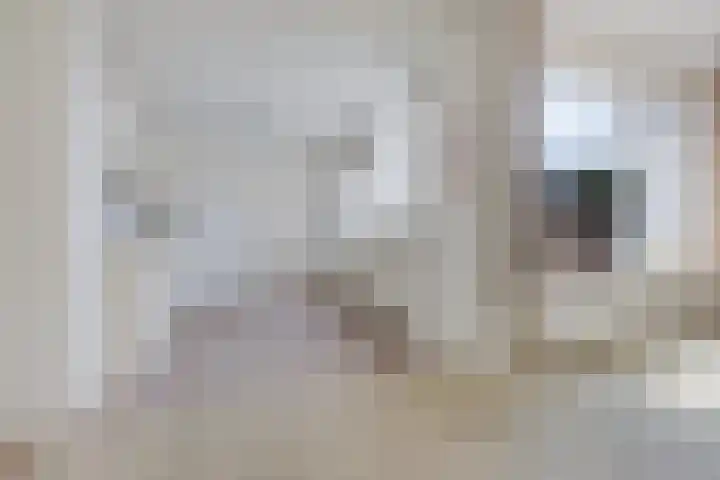 Foareker 62 Ureterp thumbnail 8