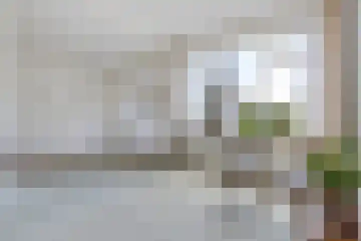 Foareker 62 Ureterp thumbnail 9