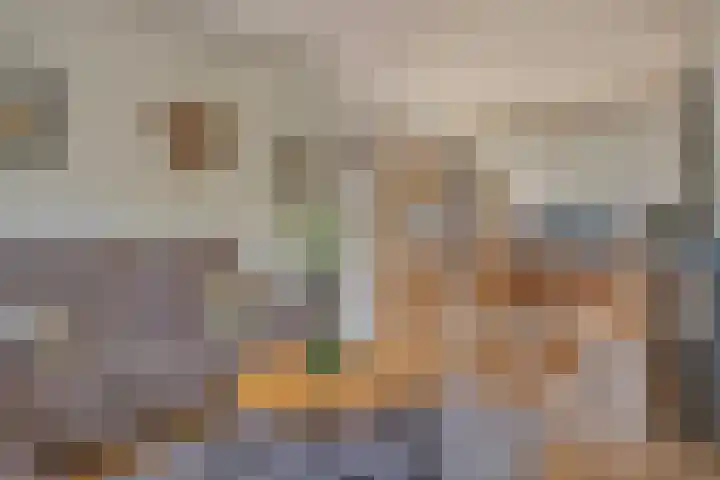 Foareker 78 Ureterp thumbnail 10
