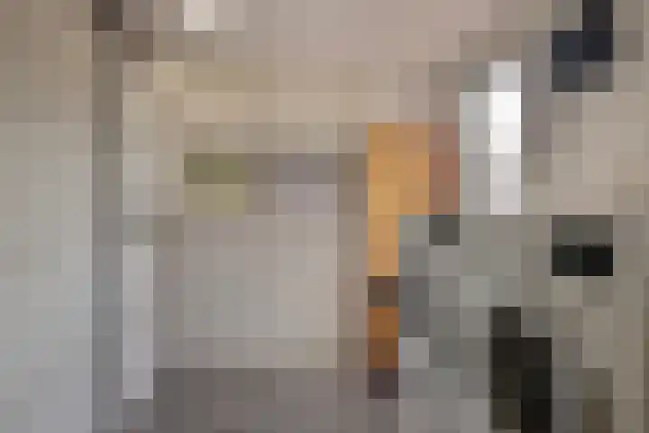 Foareker 78 Ureterp thumbnail 17