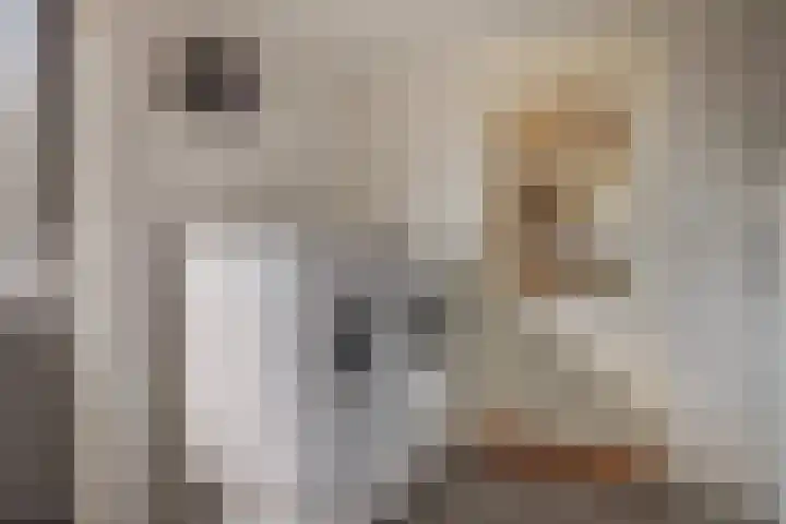 Foareker 78 Ureterp thumbnail 18