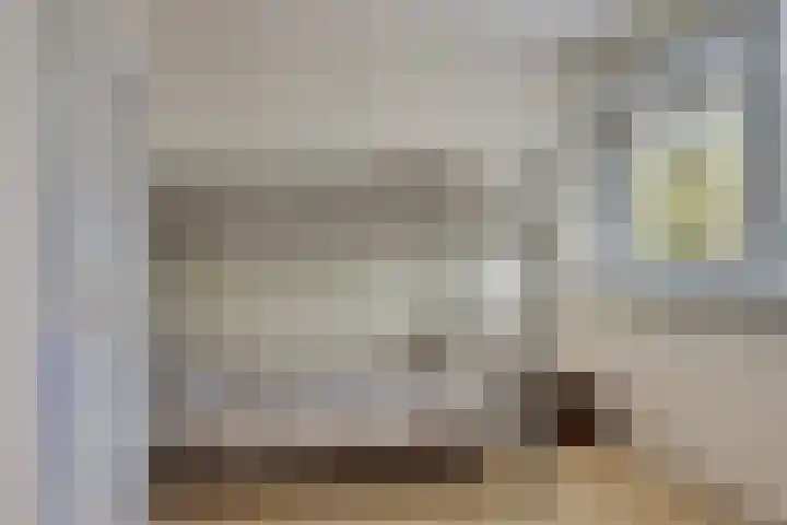 Foareker 78 Ureterp thumbnail 23