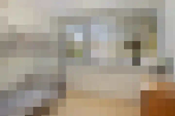 Foareker 78 Ureterp thumbnail 24