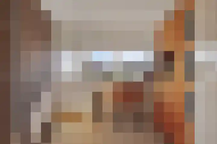Foareker 78 Ureterp thumbnail 25