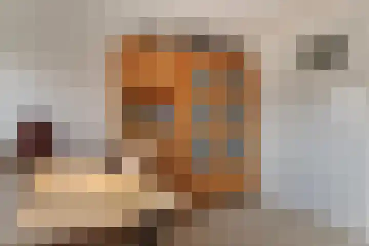 Foareker 78 Ureterp thumbnail 26