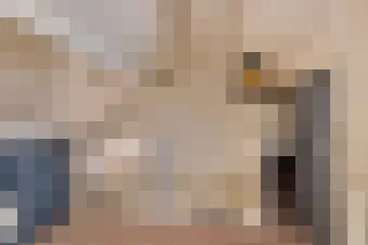 Foareker 78 Ureterp thumbnail 27