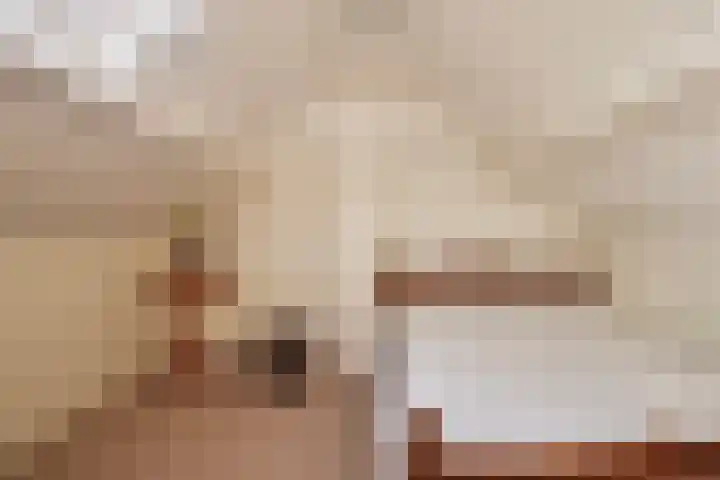 Foareker 78 Ureterp thumbnail 28