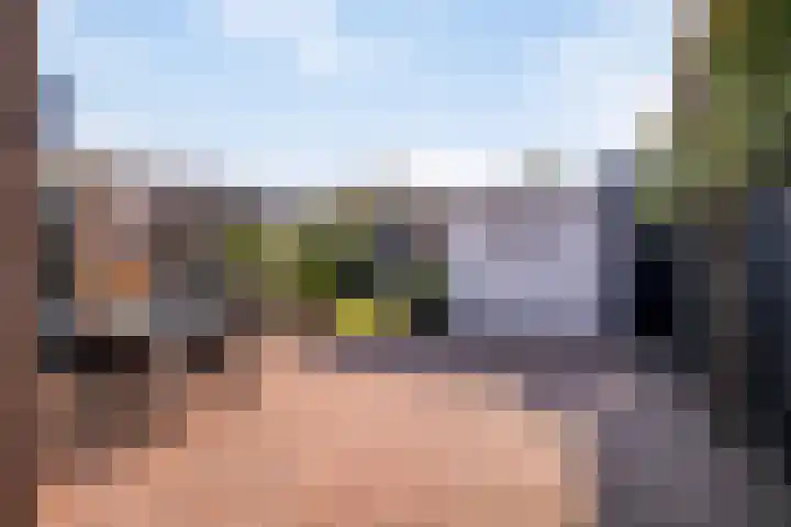 Foareker 78 Ureterp thumbnail 31