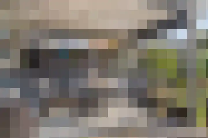 Foareker 78 Ureterp thumbnail 32