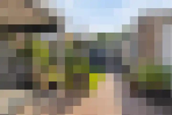 Foareker 78 Ureterp thumbnail 33