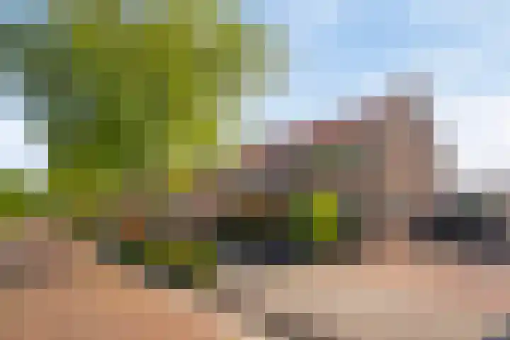 Foareker 78 Ureterp thumbnail 4