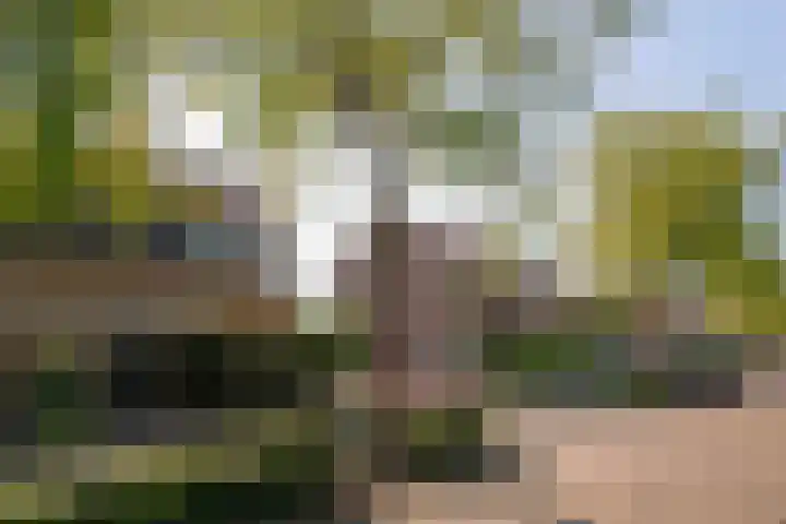 Foareker 78 Ureterp thumbnail 5