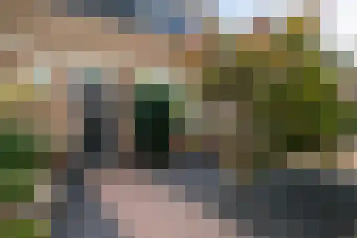 Foareker 78 Ureterp thumbnail 6