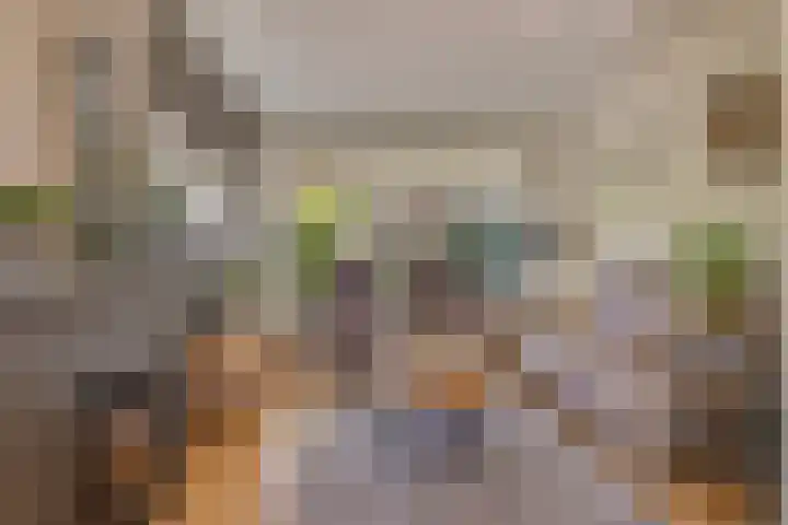 Foareker 78 Ureterp thumbnail 8