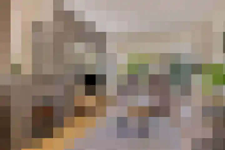 Foareker 78 Ureterp thumbnail 9