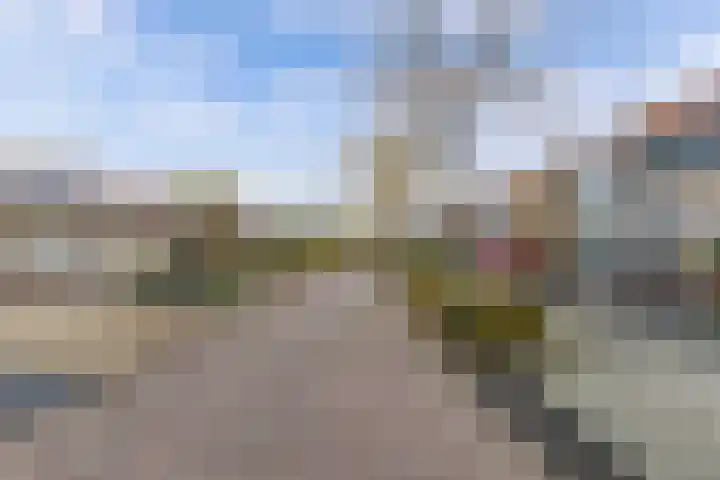 Foareker 82 Ureterp thumbnail 11