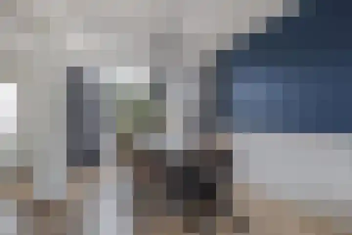 Foareker 82 Ureterp thumbnail 22