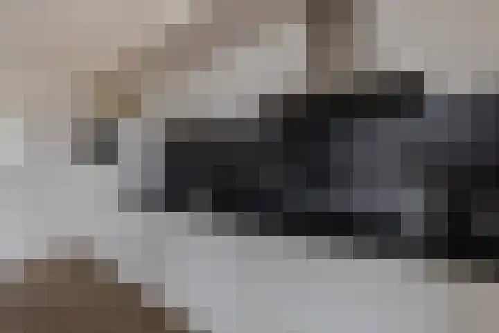 Foareker 82 Ureterp thumbnail 25