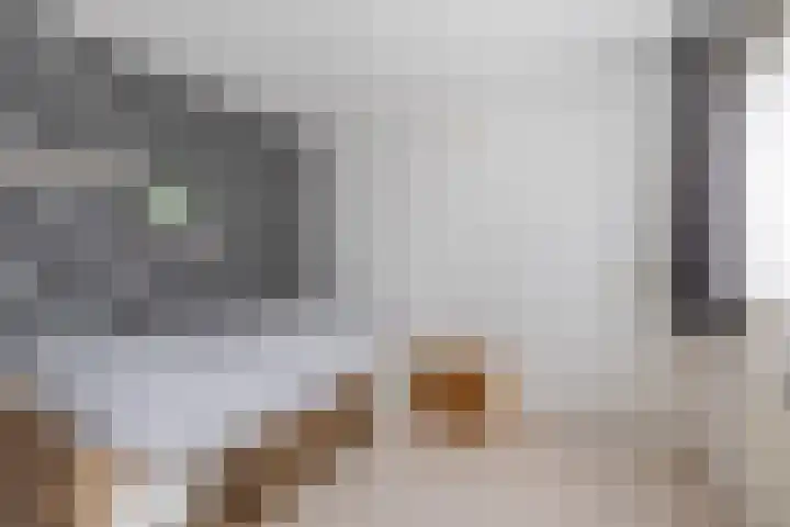 Foareker 82 Ureterp thumbnail 33