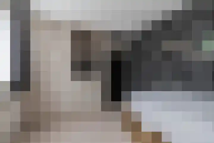 Foareker 82 Ureterp thumbnail 34