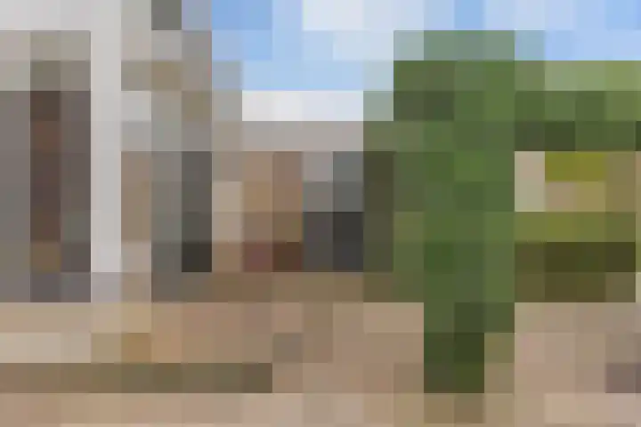 Foareker 82 Ureterp thumbnail 41