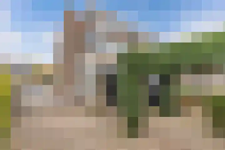 Foareker 82 Ureterp thumbnail 45