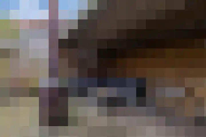 Foareker 82 Ureterp thumbnail 51
