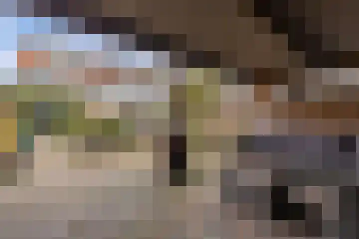 Foareker 82 Ureterp thumbnail 52