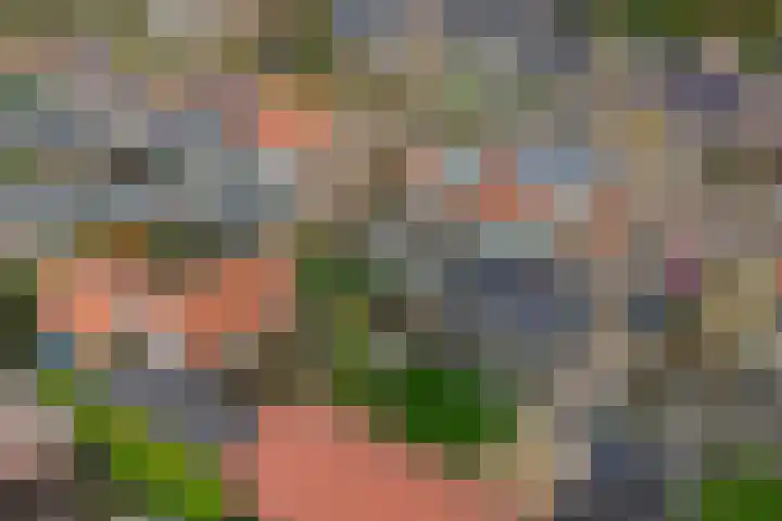 Foareker 82 Ureterp thumbnail 56